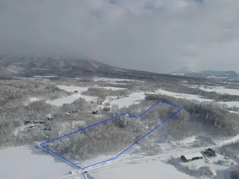 Kondo winter outline