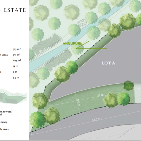 Screen Shot 2021-02-26 at 10.46.36 AM